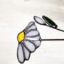 Daisy Stained Glass Everlasting Flowers, thumbnail 2 of 8