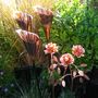 One Copper Cala Lily Garden Sculpture Lt246, thumbnail 7 of 12