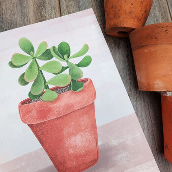 Jade Plant Illustrated Print, 5 of 5