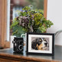 Stitch Your Own Dog Tapestry From Your Favourite Photo, thumbnail 1 of 3