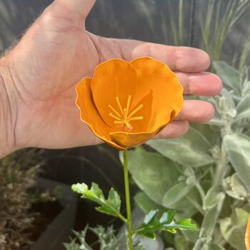 Californian Poppy Sculptures Set Of Three, 4 of 4