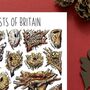 Nests Of Britain Watercolour Postcard, thumbnail 7 of 8