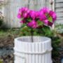 Round Vintage Style Wooden Flower Pot, thumbnail 2 of 6