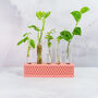 Propagation Station | Clay, thumbnail 1 of 4