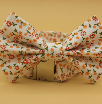 Orange Daisy Dog Bow Tie, 9 of 11