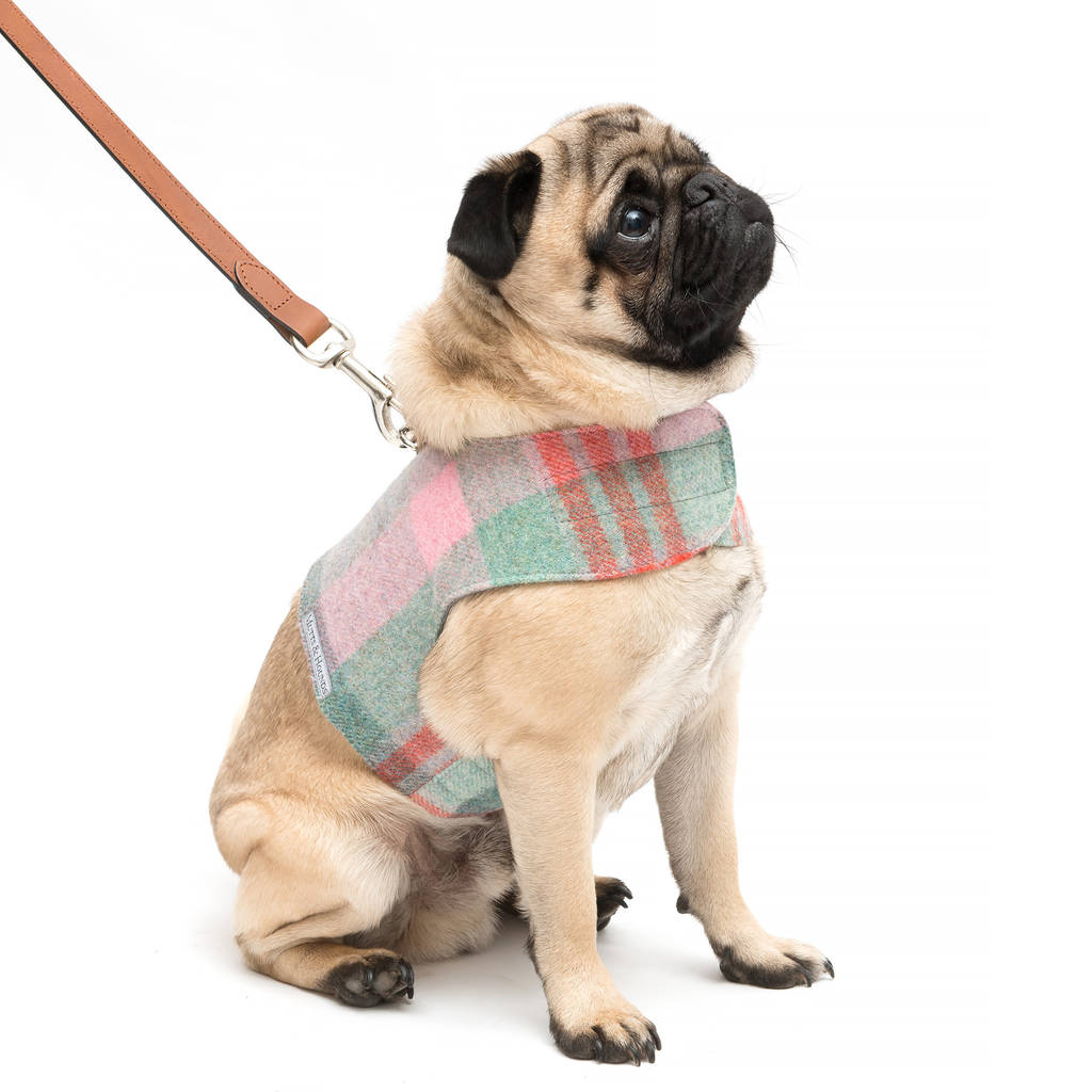 Luxury Tweed Dog Harnesses By Mutts & Hounds | notonthehighstreet.com