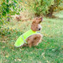 Personalised Reflective Dog Safety Coat / Vest / Jacket, thumbnail 9 of 12