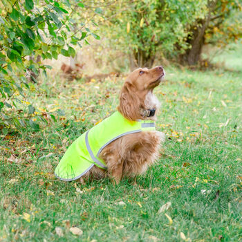 Personalised Reflective Dog Safety Coat / Vest / Jacket, 9 of 12