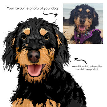 Personalised Pet Portrait Digital Illustration, 2 of 12