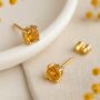 9ct Gold Citrine November Birthstone Stud Earrings, thumbnail 1 of 3