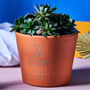 Personalised Father's Day Terracotta Plant Pot, thumbnail 1 of 1