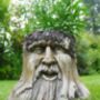 Enchanted Tree Stump Planter, thumbnail 3 of 3