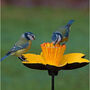 Cast Iron Daffodil Garden Sculpture Bird Feeder, thumbnail 4 of 4