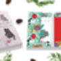 Catty Christmas Pack Of Ten Christmas Cards, thumbnail 3 of 4
