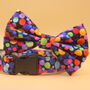 Multicoloured Confetti Dog Bow Tie, thumbnail 7 of 11