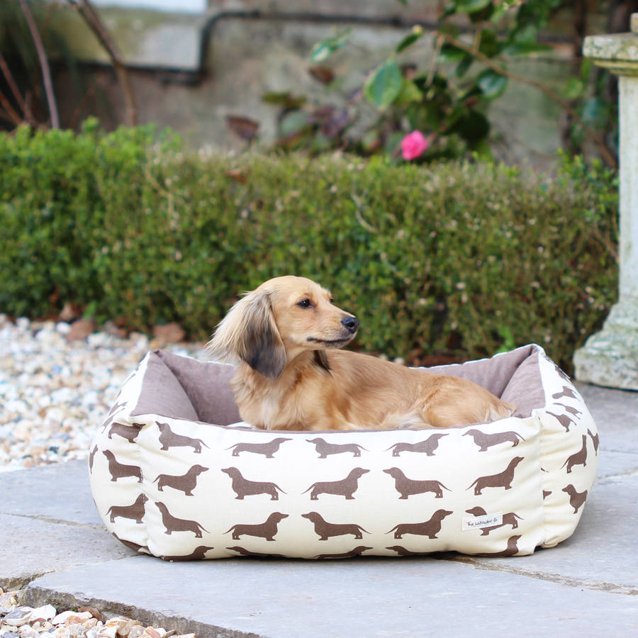 Small Dachshund Dog Bed By The Labrador Company