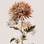 Birth Flower Wall Print 'Chrysanthemum' For November, thumbnail 9 of 9