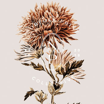 Birth Flower Wall Print 'Chrysanthemum' For November, 9 of 9