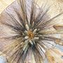 Mini Dried Wheat Bouquet ''Black Wisps'', thumbnail 7 of 7