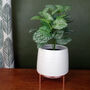 White Ceramic Planter Metal Stand Plant Pot, thumbnail 1 of 2