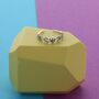 Skull And Bones Toe Ring, thumbnail 1 of 2