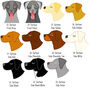 Labrador Personalised Dog ID Name Tag, thumbnail 3 of 12