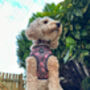 Woodland Hedgehog Dog Harness, thumbnail 3 of 8