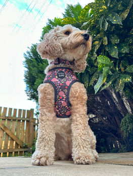 Woodland Hedgehog Dog Harness, 3 of 8