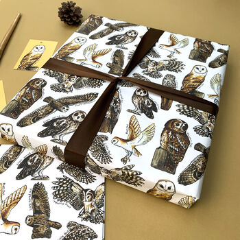 Owls Of Britain Wrapping Paper Set, 5 of 8