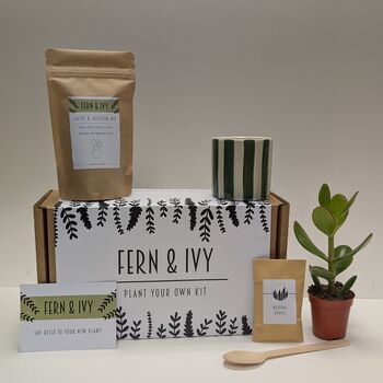Plant Your Own Succulent Kit, 11 of 12