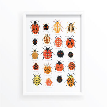 Ladybird Identification Art Print, 4 of 8