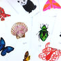 Nocturnal Specimens Notecard Pack, thumbnail 6 of 6