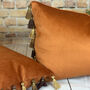 Velvet Copper Tassel Cushion, thumbnail 4 of 10