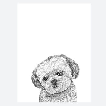 Shih Tzu Dog Portrait Print, 2 of 3