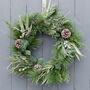 Forest Pinecone Wreath, thumbnail 1 of 6