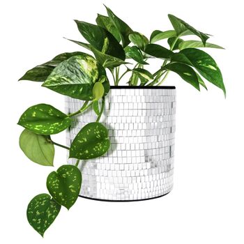 Disco Tabletop Planter, 2 of 2