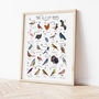 The A To Z Of Birds Print, thumbnail 3 of 6