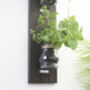 Large Wall Hanging Herb Garden, thumbnail 3 of 7