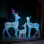 Twinkly Smart LED Light Up Christmas Reindeer Family, thumbnail 5 of 12