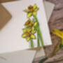 Daffodil Greetings Card, thumbnail 2 of 6