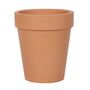 Love Grows Here Terracotta Plant Pot Gift, thumbnail 2 of 3