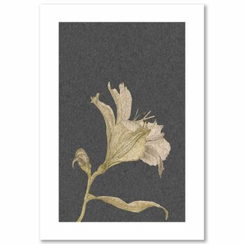 Grey Vintage Floral Stem Art Print, 6 of 6