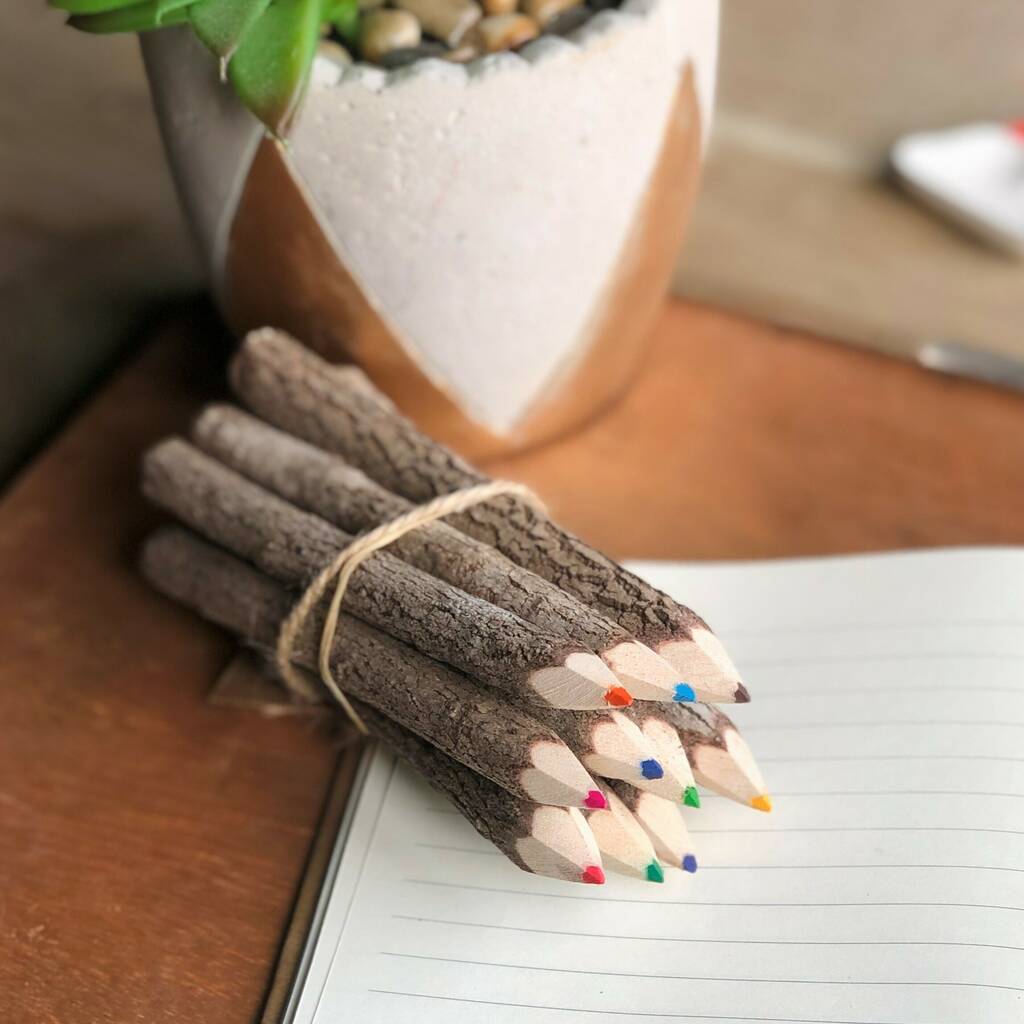 Wooden Twig Colouring Pencils By The Alphabet Gift Shop