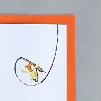 Card With Daffodil Illustrations, 2 of 2