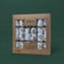 Plantable Christmas Crackers, thumbnail 4 of 4