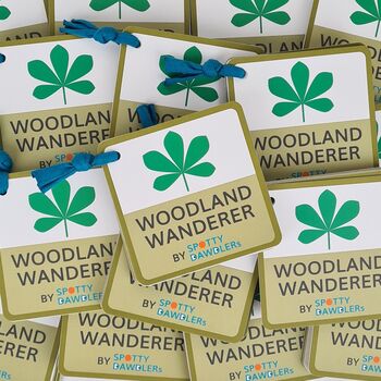Woodland Wanderer Nature Spotting Sticker Book, 4 of 4
