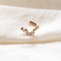 14 Carat Gold Sycamore Nose Stud, thumbnail 1 of 5