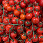 Tomato Plants 'Gardener's Delight' Nine X Plug Pack, thumbnail 3 of 5