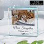 Personalised Pet Memory Glass Token, thumbnail 3 of 3