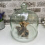 Large 24cm Recycled Glass Cloche Dome Bell Jar, thumbnail 6 of 7